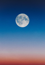 Otsukimi moon watching 