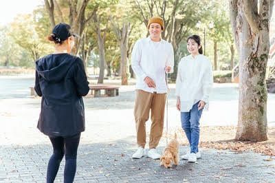 prying-Japanese_-phrase