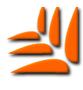 j4n